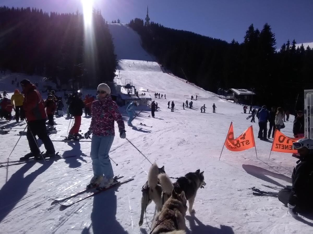Ski Chalets At Pamporovo - An Affordable Village Holiday For Families Or Groups Екстериор снимка